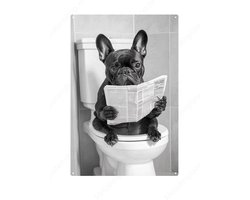 Franse bulldog op de WC met een krant