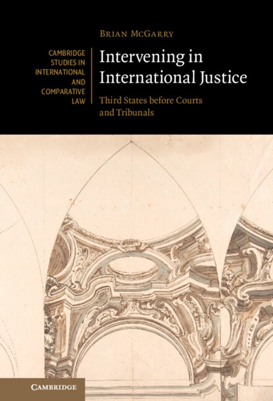 Cambridge Studies in International and Comparative Law- Intervening in International Justice
