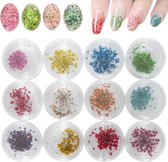 12x gedroogde bloemen nail art in een box, altijd van bloemen op nagels gedroom?