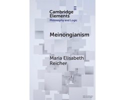Omslag van Elements in Philosophy and Logic- Meinongianism