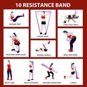 Illustration de 10 exercices avec des bandes de résistance : Russian Twist, Élan latéral, Développé couché, Squat avec bande, Crunch inversé, Tirage buste penché, Biceps curl, Extension triceps, Woodchop diagonal et Fentes.