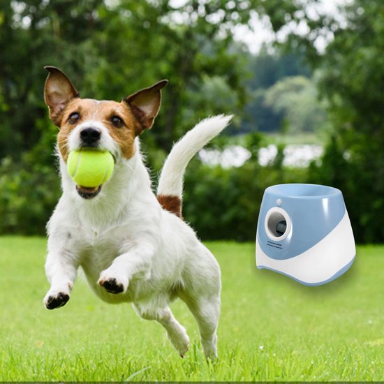 BAL