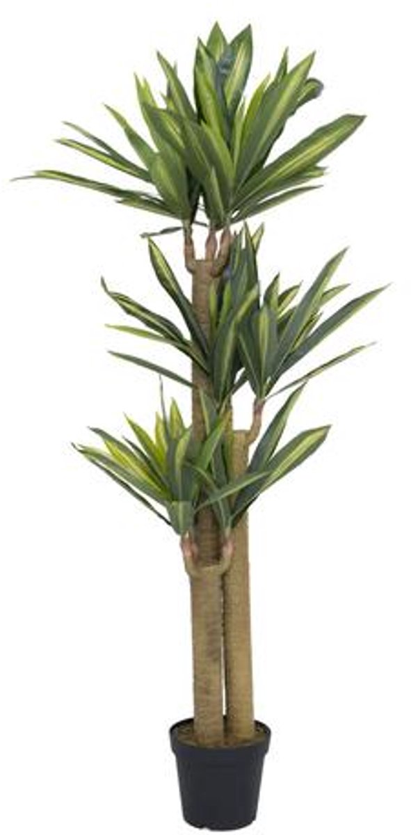 Pottery Pots Kunstplant - Dracena L - H180cm - Indoor - Green