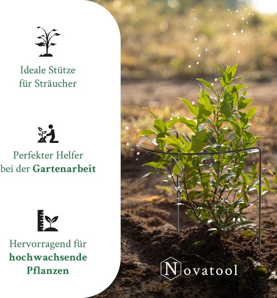 Zwarte ronde plantensteun, ideaal voor struiken en hooggroeiende planten.