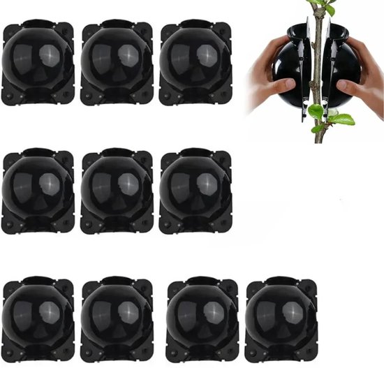 10 stuks Plantenenten - Plantenwortelbox - Plantenwortelapparaat Stekken voor enten en...