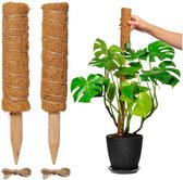 FEDEC Moss stick pour plantes - Plant stick - 30cm à 50cm - 2 pcs