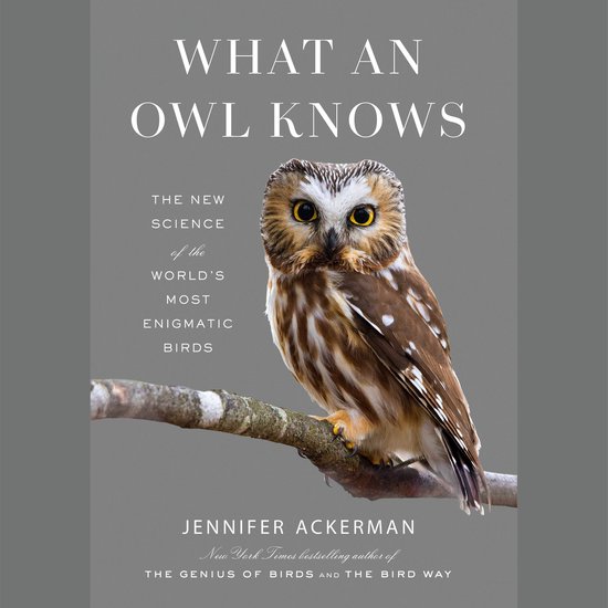 What an Owl Knows - cover