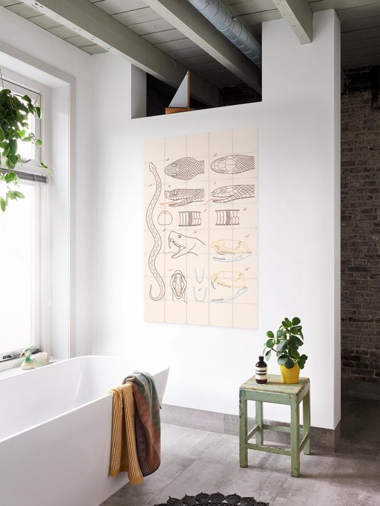 IXXI Serpent - Anatomie, Aster Edition - 100 x 140 cm - Gratis ophangtool - Grote wanddecoratie en posters - Technische Tekening, Illustraties, Line