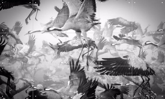 IXXI Bird Migration - Wanddecoratie - Dieren en insecten - 100 x 60 cm