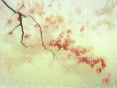IXXI Luce Dorata - Wanddecoratie - Abstract - 80 x 60 cm