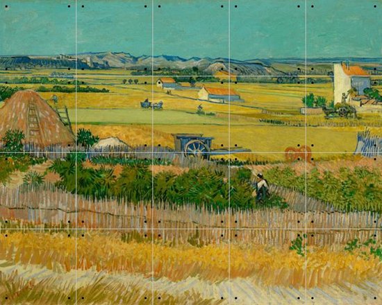 Muurschildering van Gogh | Hoogeveen