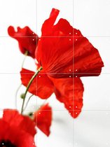 IXXI Poppies - Wanddecoratie - Bloemen en Planten - 60 x 80 cm