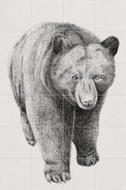 IXXI Black Bear - Wanddecoratie - Abstract - 80 x 120 cm