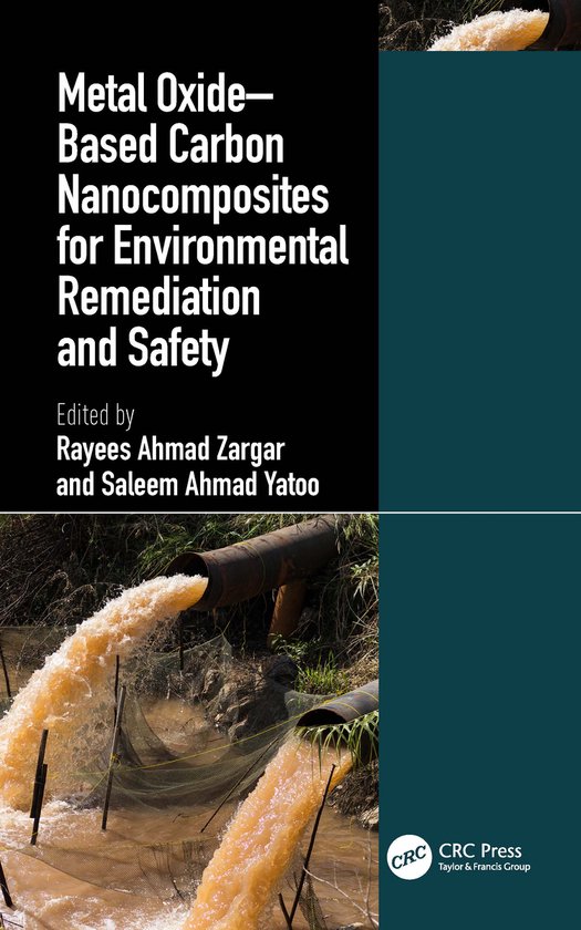 Metal Oxide–Based Carbon Nanocomposites for Environmental  ... - cover