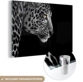 Glasschilderij luipaard - Dieren - Zwart - Wit - Portret - Schilderij glas - Foto op glas - Woonkamer decoratie - 120x80 cm - Wanddecoratie glas - Woondecoratie - Muurdecoratie - Glasplaat