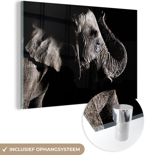 MuchoWow® Peinture sur verre - Éléphant - Zwart - Animaux - Nature - 120x80 cm - Peintures sur verre acrylique - Photo sur Glas