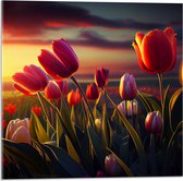 Acrylglas - Kleurrijke Tulpen in Bloemenveld - 50x50 cm Foto op Acrylglas (Wanddecoratie op Acrylaat)
