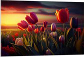 Acrylglas - Kleurrijke Tulpen in Bloemenveld - 105x70 cm Foto op Acrylglas (Wanddecoratie op Acrylaat)