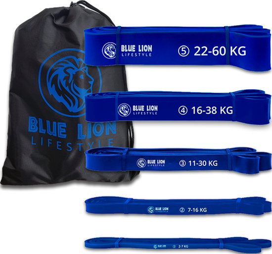 Blue Lion Powerband set - Fitness Weerstandsbanden set met 5 verschillende weerstanden - Resistance band set van 2 tot 60 KG - Met opbergtas