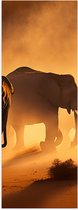 Poster Glanzend – Kudde Olifanten in Fel Zonlicht - 20x60 cm Foto op Posterpapier met Glanzende Afwerking