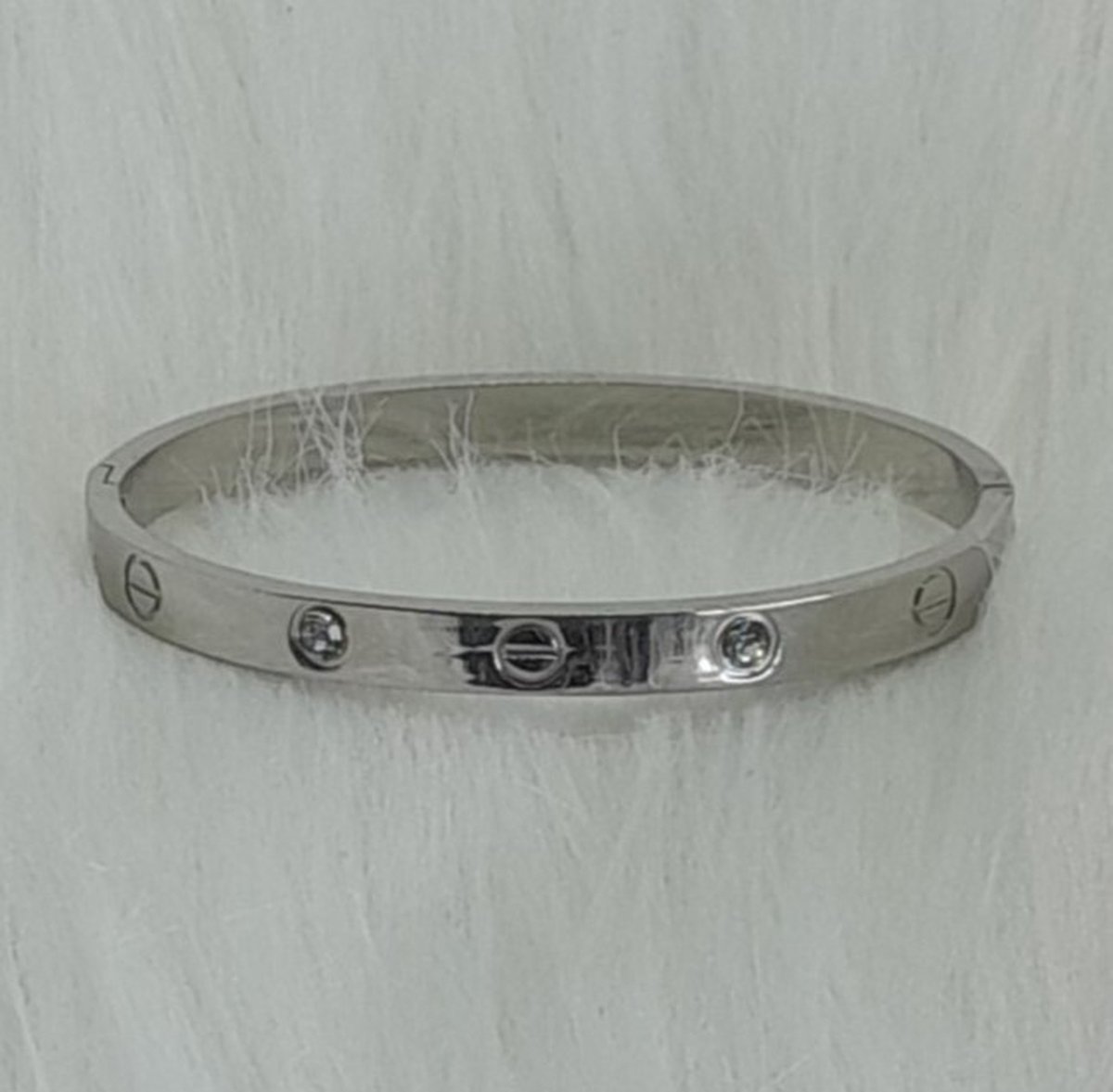 Dames Armband - Bangle - Roestvrij Staal- Schroef- met Scharniersluiting