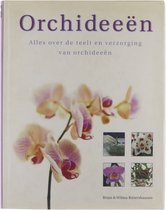 Orchideeen