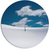 Dibond Muurcirkel - Landschap - Sneeuw - Boompje - 60x60 cm Foto op Aluminium Muurcirkel (met ophangsysteem)