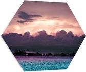 PVC Schuimplaat Hexagon - Zonsondergang - Landschap - Wolken - Kleuren - 80x69.6 cm Foto op Hexagon (Met Ophangsysteem)