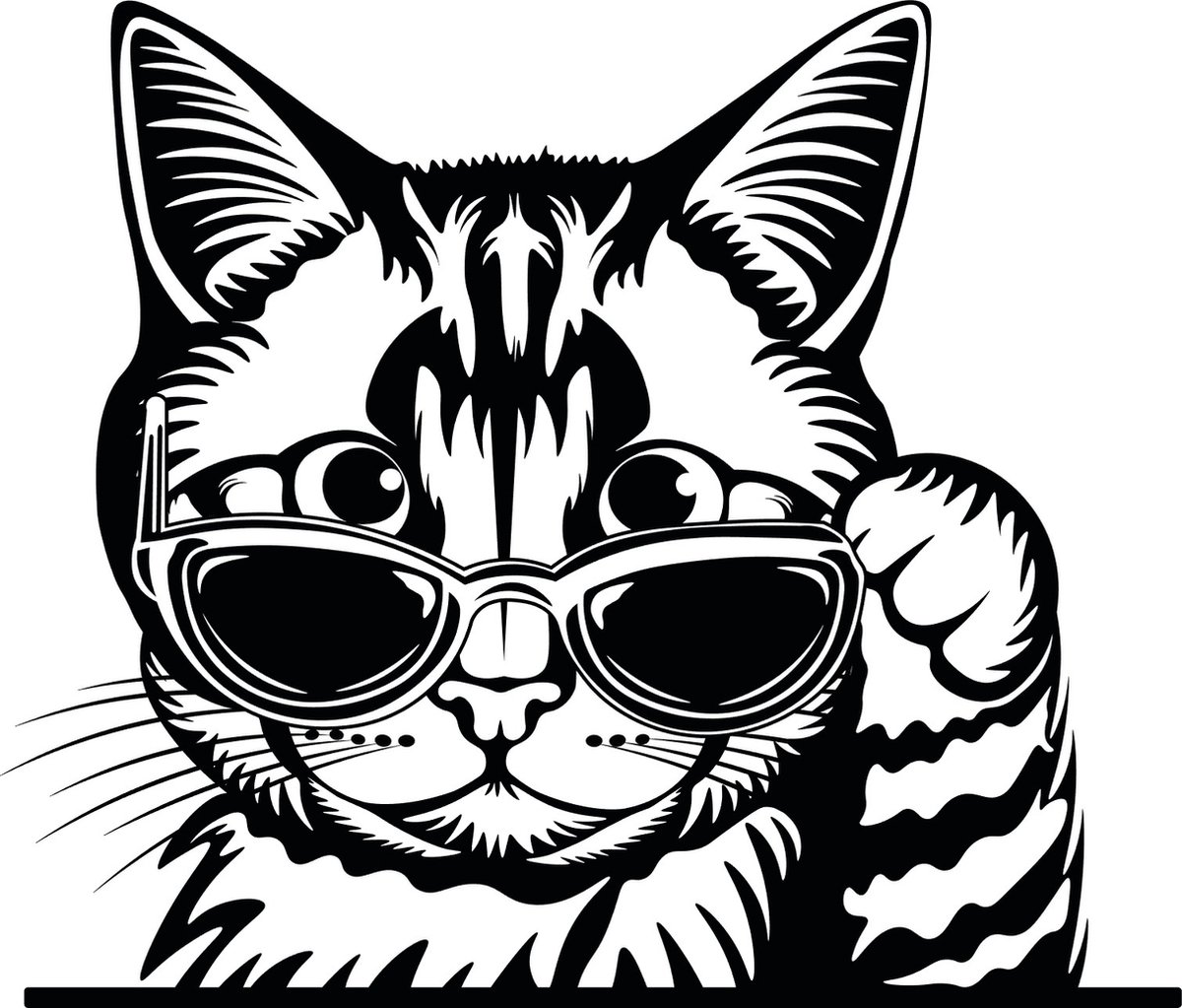 Auto - raam - muur sticker grappige gluurkat - poes - autotuning -