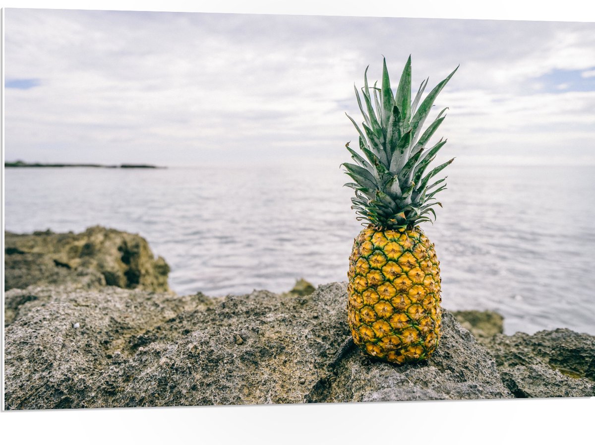 PVC Schuimplaat - Ananas - Rotsen - Zee - Golven - 105x70 cm Foto op PVC Schuimplaat (Met Ophangsysteem)