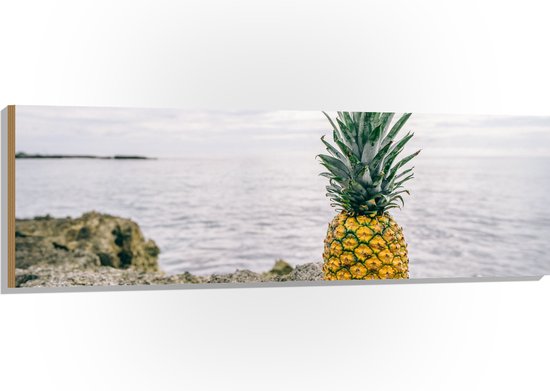 Hout - Ananas - Rotsen - Zee - Golven - 150x50 cm - 9 mm dik - Foto op Hout (Met Ophangsysteem)