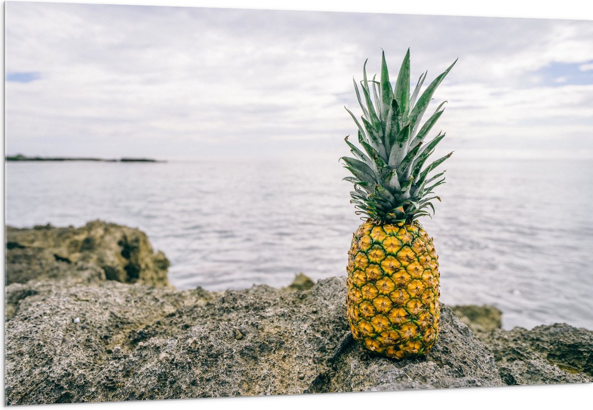Acrylglas - Ananas - Rotsen - Zee - Golven - 150x100 cm Foto op Acrylglas (Met Ophangsysteem)