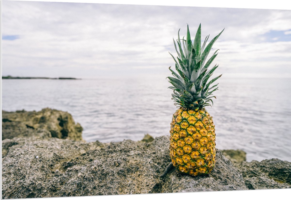 PVC Schuimplaat- Ananas - Rotsen - Zee - Golven - 150x100 cm Foto op PVC Schuimplaat