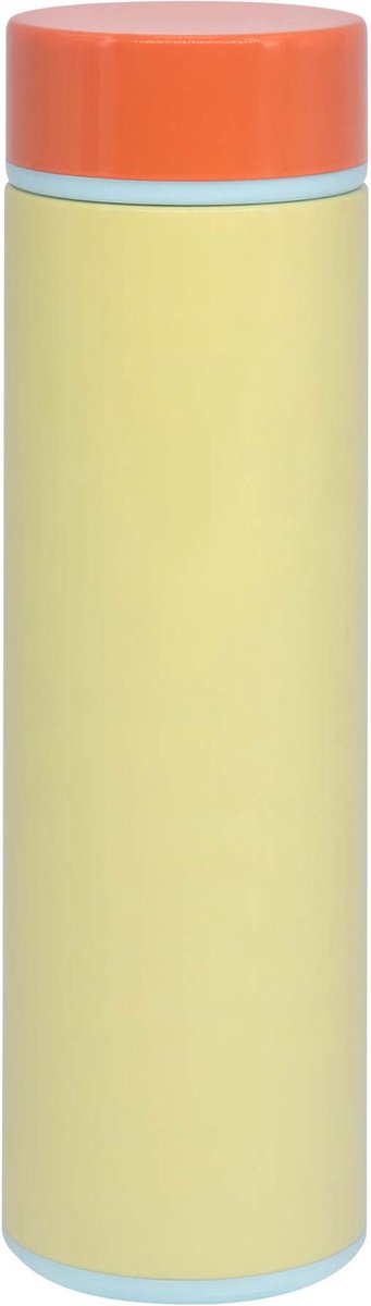 Remember - Thermosfles Sally 450 ml - Roestvast Staal - Multicolor