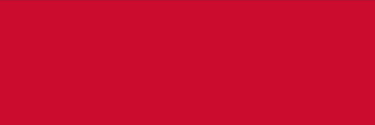 Vlag Nijmegen 70x100cm