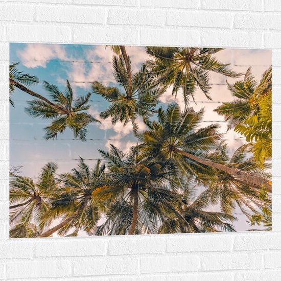 Muursticker - Onderaanzicht van Tropische Palmbomen onder Wolkenveld - 100x75 cm Foto op Muursticker