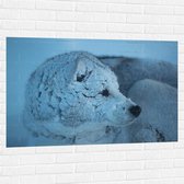 Muursticker - Ondergesneeuwde Wolf tijdens Sneeuwstorm - 120x80 cm Foto op Muursticker