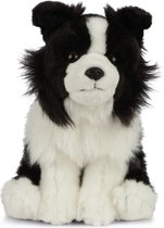 Pluche Border Collie honden knuffel 20 cm - Border collie huisdieren knuffels - Speelgoed