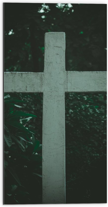 Dibond - Wit Kruis tussen de Donkergroene Struiken - 50x100 cm Foto op Aluminium (Wanddecoratie van metaal)