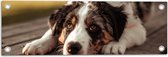 Tuinposter – Liggende Zwart met Witte Hond op Houten Picknicktafel - 60x20 cm Foto op Tuinposter (wanddecoratie voor buiten en binnen)