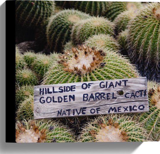 Canvas - Cactussen - Planten - Tekst - Bordje - Hout - Kleuren - 30x30 cm Foto op Canvas Schilderij (Wanddecoratie op Canvas)