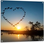 Tuinposter – Zwerm Vogels Vliegend in Hartvorm boven het Water - 100x100 cm Foto op Tuinposter (wanddecoratie voor buiten en binnen)