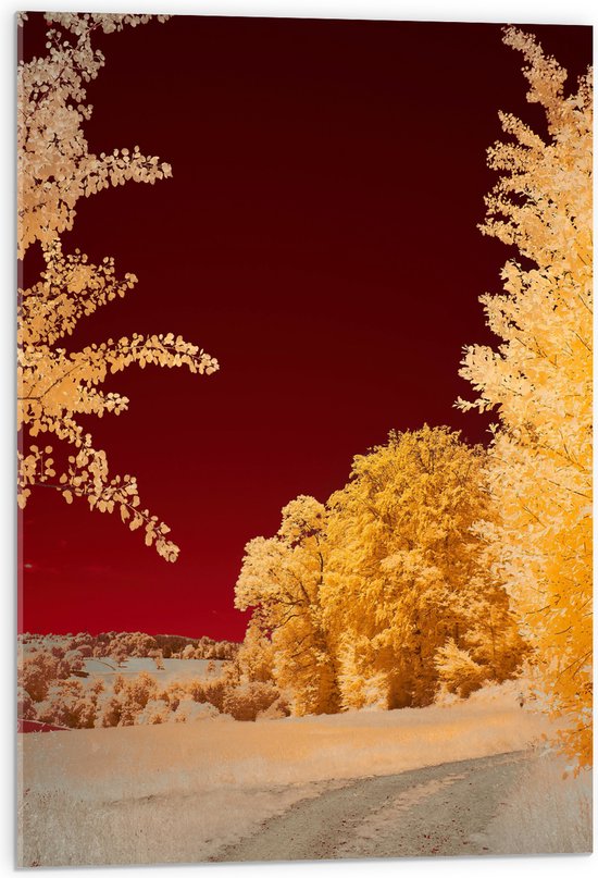 Acrylglas - Landschap - Bomen - Rood - Geel - 50x75 cm Foto op Acrylglas (Wanddecoratie op Acrylaat)