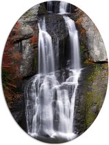 Dibond Ovaal - Berg - Waterval - Water - Bomen - 72x96 cm Foto op Ovaal (Met Ophangsysteem)