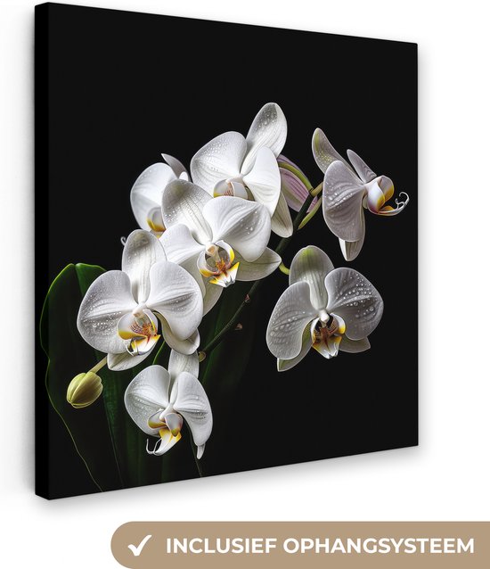 Canvas Schilderij Orchidee - Bloemen - Wit - Natuur - Zwart - 90x90 cm - Wanddecoratie