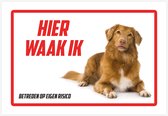 Bord | Waakbord | "Hier waak ik" | 30 x 20 cm | Nova Scotia Duck Tolling Retriever | 1 mm | Gevaarlijke hond | Waakhond | Hond | Betreden op eigen risico | Polystyreen | Rechthoek | Witte achtergrond | 1 stuk