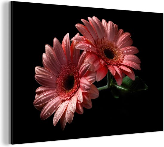 Wanddecoratie Metaal - Aluminium Schilderij Industrieel - Bloemen - Gerbera - Roze - Natuur - Portret - 60x40 cm - Dibond - Foto op aluminium - Industriële muurdecoratie - Voor de woonkamer/slaapkamer