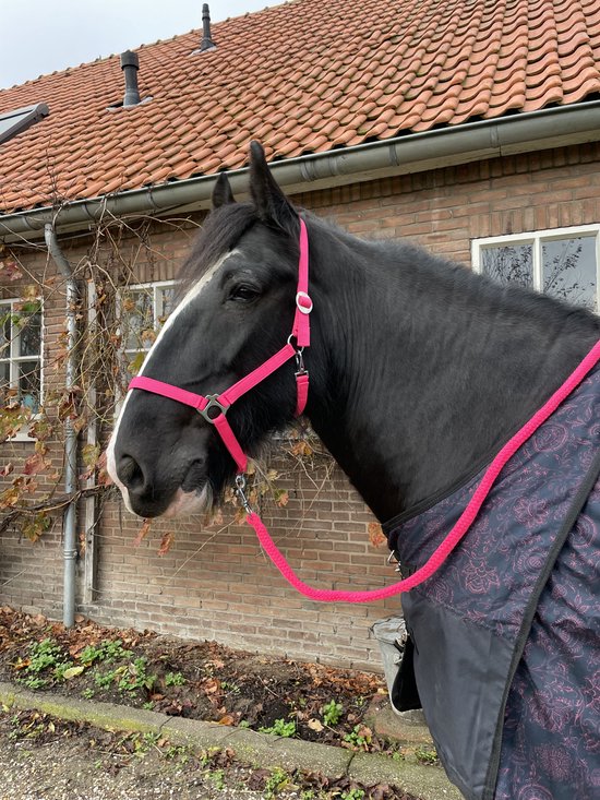 Kado artikelen | CVS Ruitersport