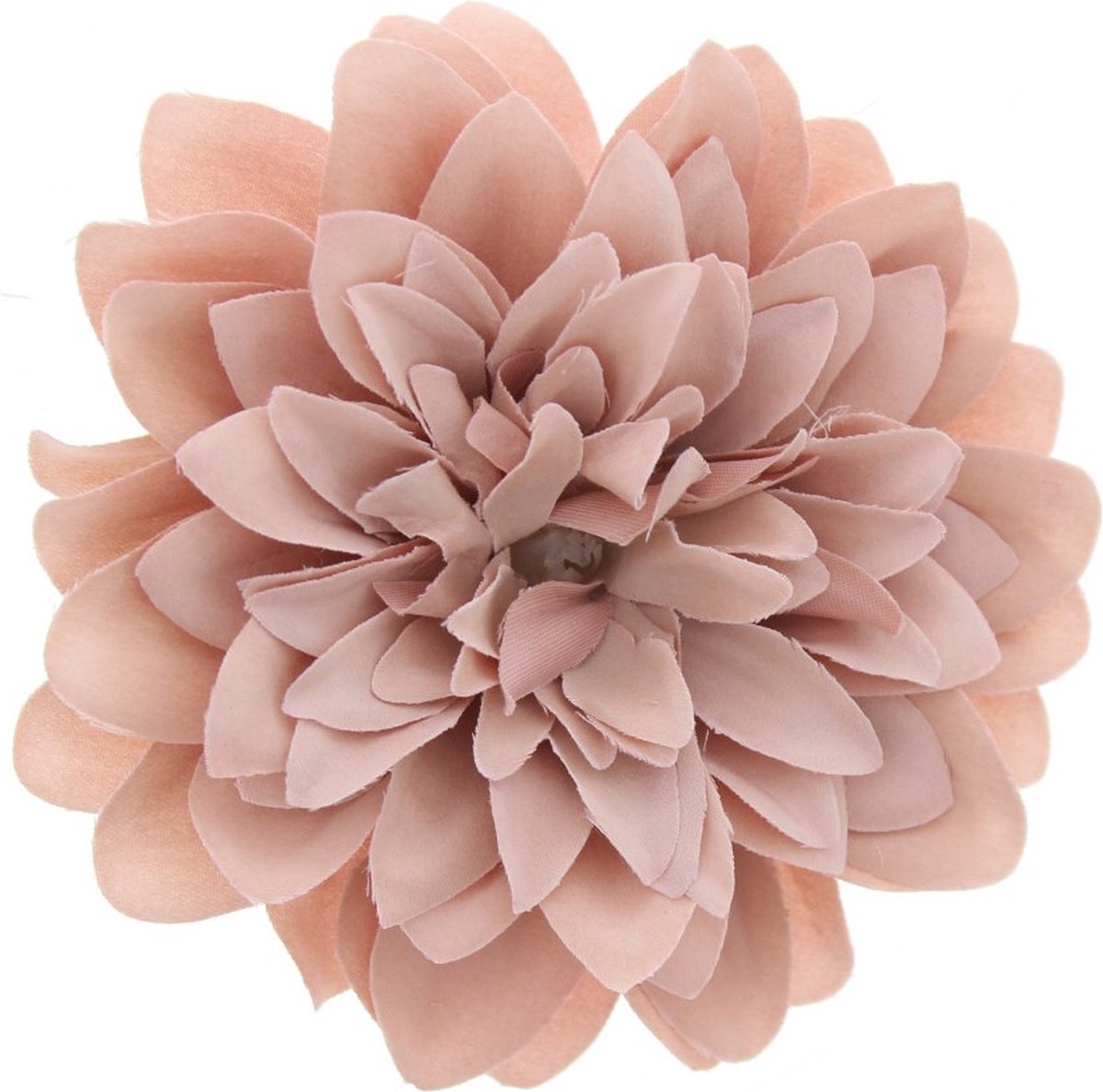 Zac's Alter Ego - Large chrysanthemum Haarbloem - Beige