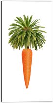 Dibond - Wortel aan Palmboom Bladeren tegen Witte Achtergrond - 50x100 cm Foto op Aluminium (Met Ophangsysteem)